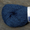 black eyed susan T1-14