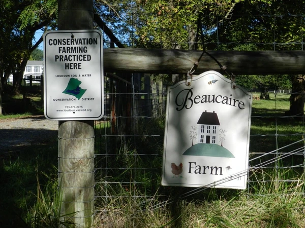 Farm Field Day: Tunis! Sunday September 13th, noon to 4 pm