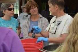 It was a really good day! Open House at Solitude: natural dyeing