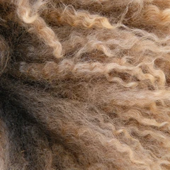 Border Leicester Fleece