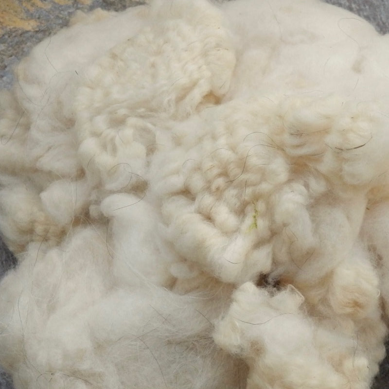 Cashmere - Raw combed from Loudoun County, VA - Solitude Wool