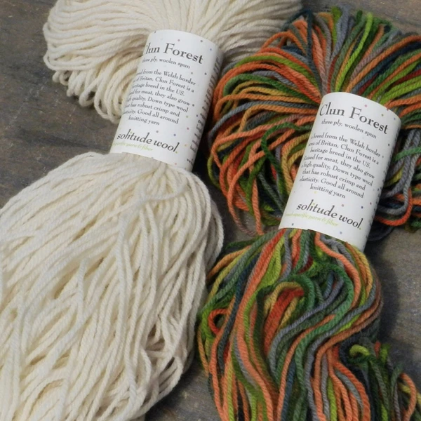 Autumn Leaves Clun Forest Yarn