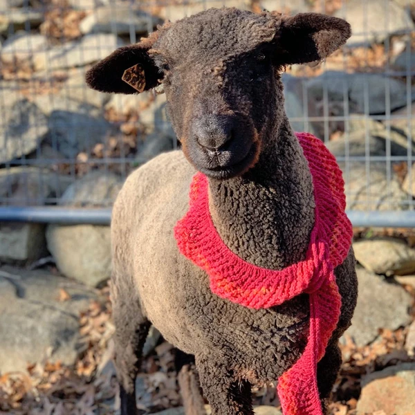 hand made items from solitude wool yarns